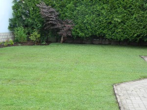 dscn3270.jpg