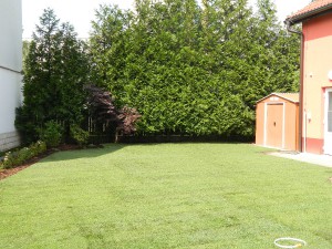 dscn3282.jpg